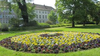 IMG_6980.JPG