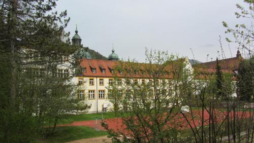 IMG_2378.JPG