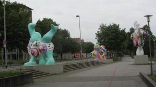IMG_6586.JPG