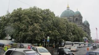 IMG_5125.JPG