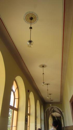 IMG_5017.JPG
