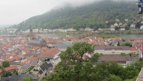 IMG_9083.JPG