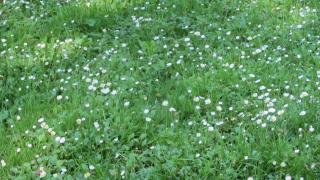 IMG_5518.JPG