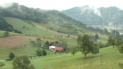 IMG_9404.JPG