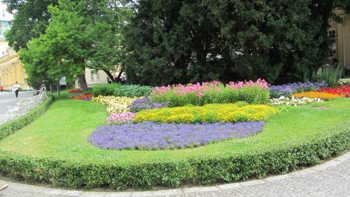 IMG_6697.JPG