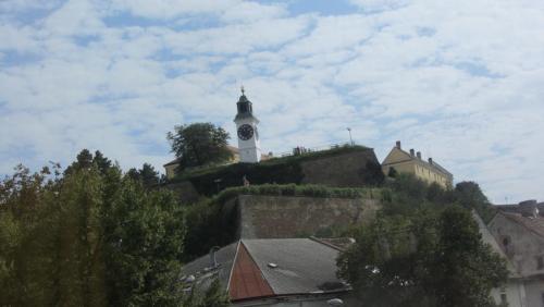 IMG_5071.JPG