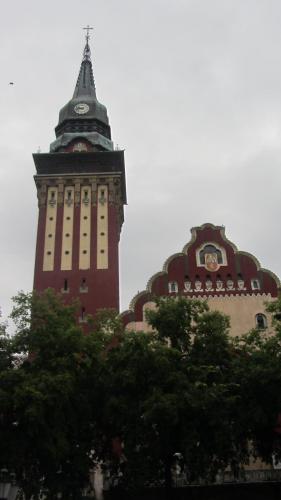 IMG_5543.JPG