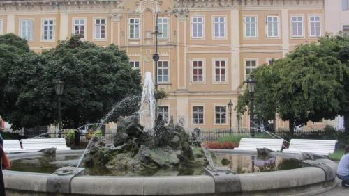 IMG_6008.JPG