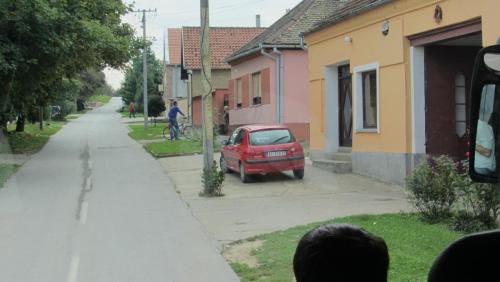 IMG_4877.JPG