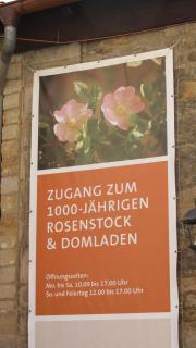 IMG_5661.JPG