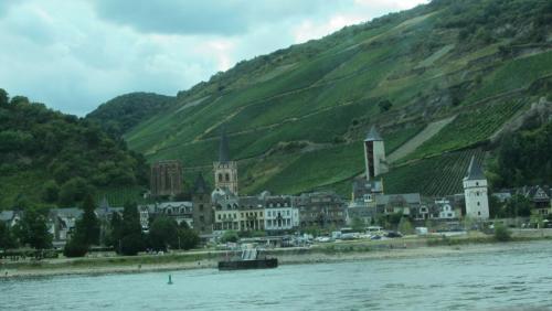 IMG_8627.JPG