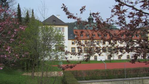 IMG_2379.JPG