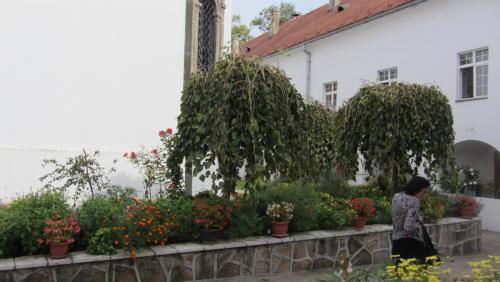 IMG_4799.JPG