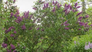 IMG_6212.JPG