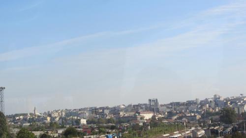 IMG_4722.JPG