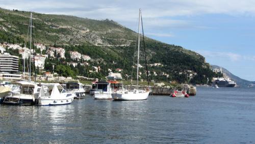 IMG_1201.JPG