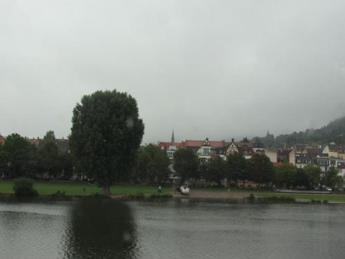 IMG_8871.JPG