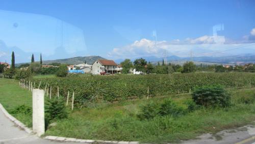 IMG_2883.JPG