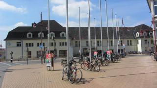 IMG_6981.JPG
