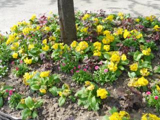 DSCN2286.JPG