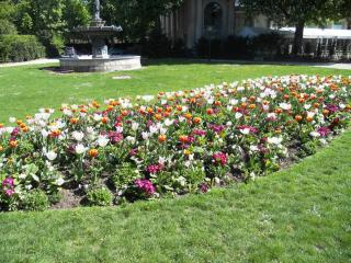DSCN2383.JPG