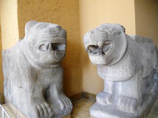 DSCN2161.JPG
