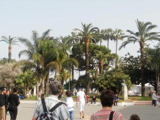 DSCN2421.JPG