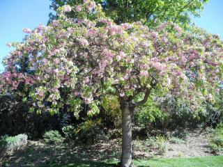 DSCN2382.JPG