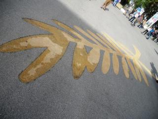 DSCN2422.JPG