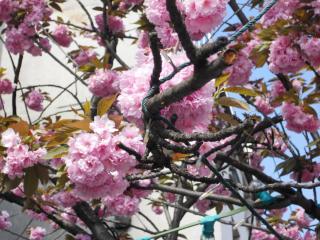 DSCN2278.JPG