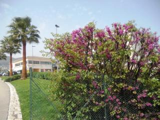 DSCN2405.JPG