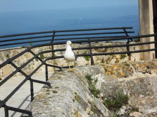 DSCN2520.JPG
