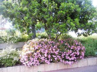 DSCN2503.JPG