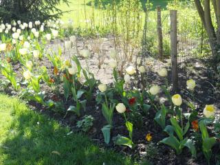 DSCN2381.JPG