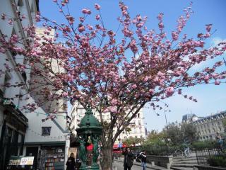 DSCN2277.JPG