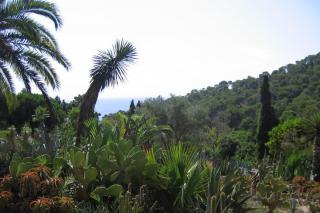 IMG_3072.JPG