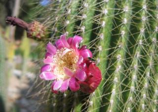 IMG_3053.JPG
