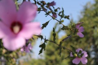 IMG_1953.JPG