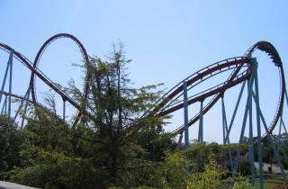 IMG_1856.JPG