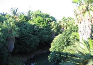 IMG_1928.JPG