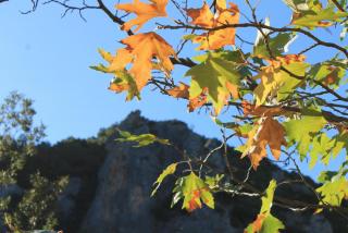IMG_1836.JPG