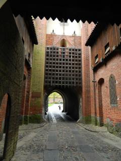 DSCN9627.jpg