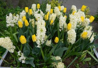 DSCN0458.jpg