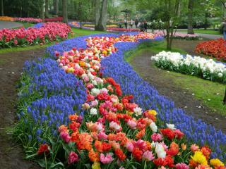 DSCN0402.jpg
