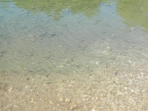 DSCN7502.JPG