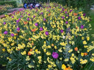 DSCN0472.JPG
