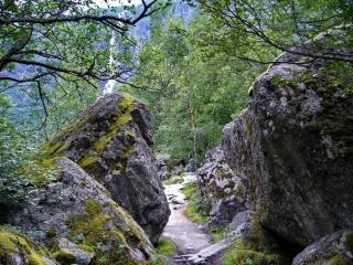 P1080871a.jpg
