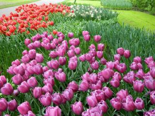 DSCN0527.jpg