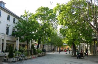 DSCN1833.jpg