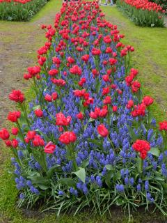 DSCN0548.jpg